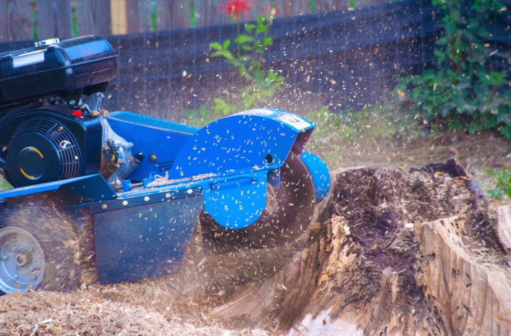 Stump Grinding