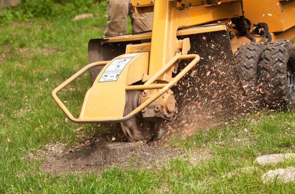 Tree Stump Grinding